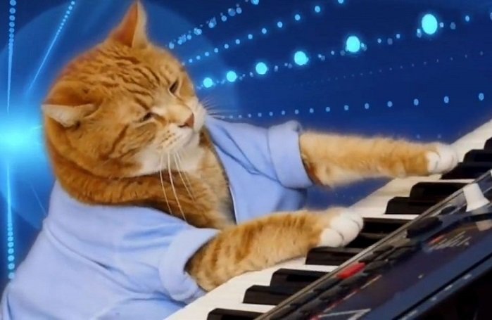 How to Make Keyboard Cat in Little Alchemy